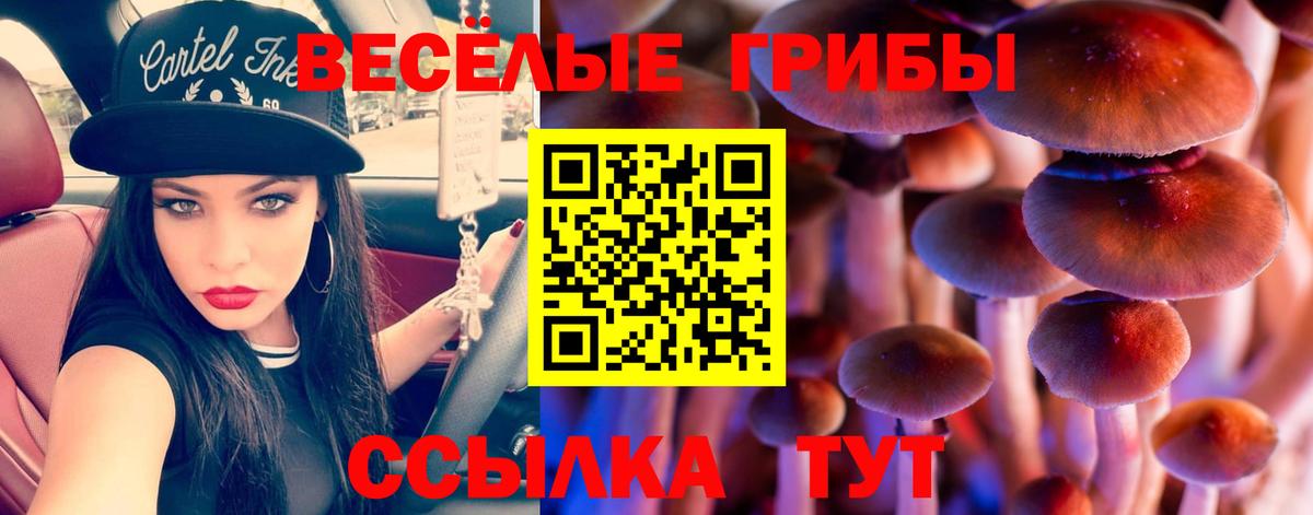 Галлюциногенные грибы GOLDEN TEACHER  Вход с VPN  Псилоцибиновые грибы ЛСД  Ногинск 