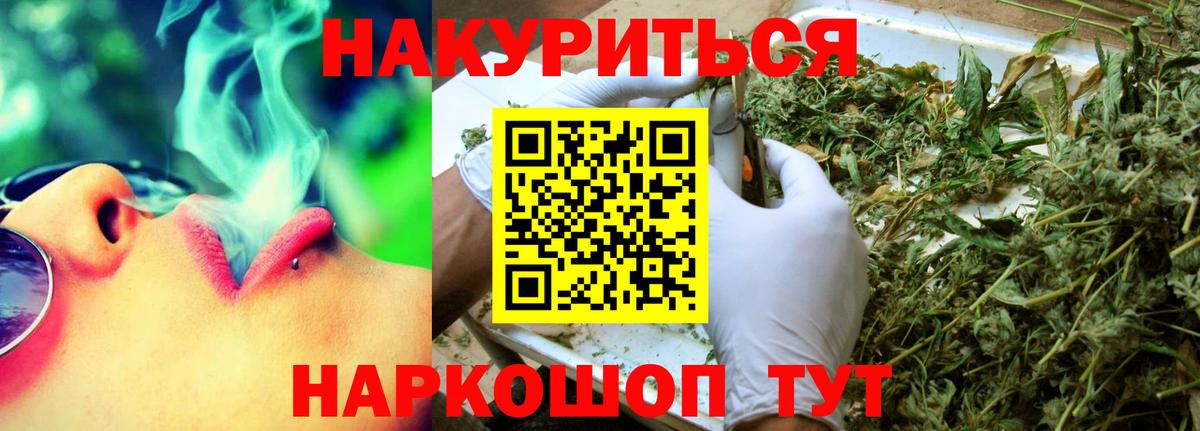 Каннабис сатива Ногинск
